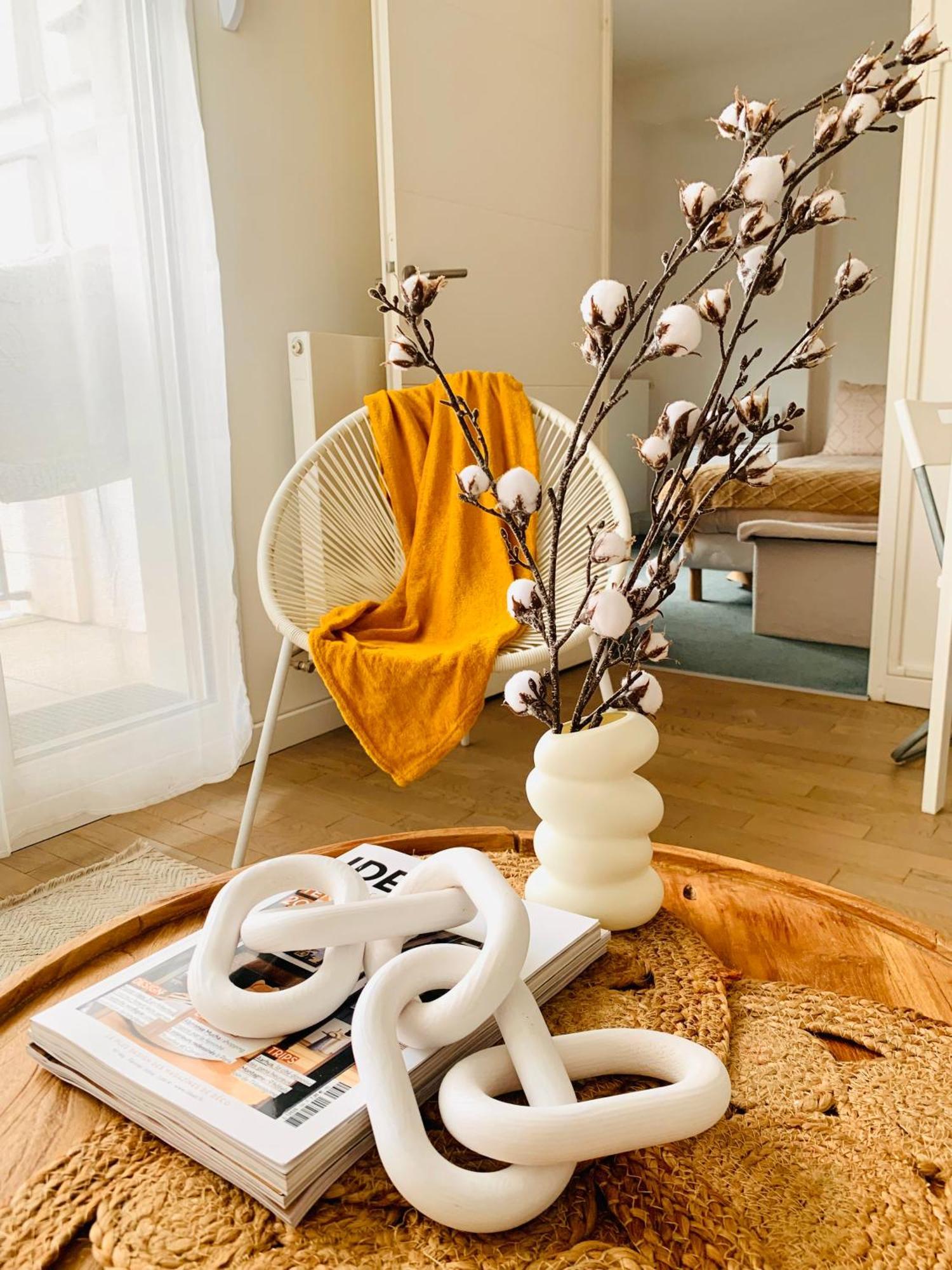 Le Bali Cosy House - T2 Lumineux Et Moderne En Plein Centre Ville De เมซง-อัลฟอร์ ภายนอก รูปภาพ